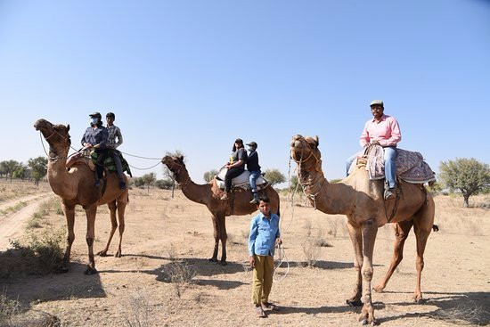 Jodhpur village jeep safari景点图片