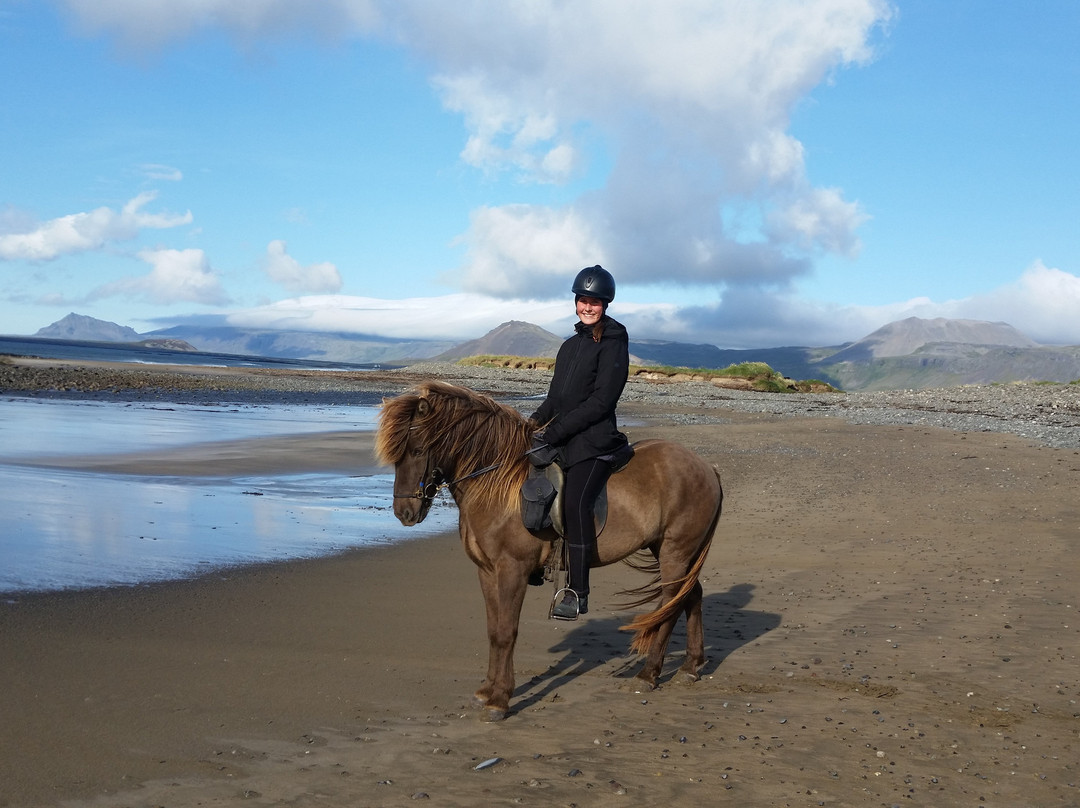 Lysuholl - Horses And Holidays景点图片