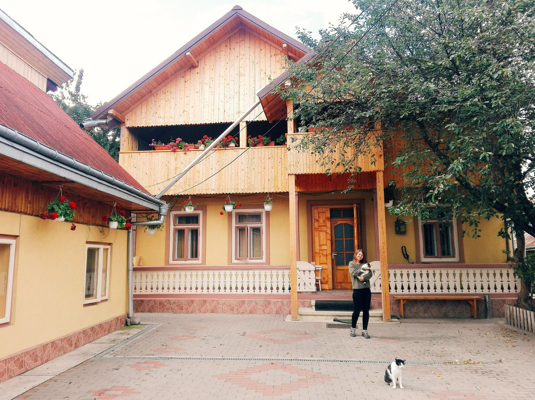 Dor de Bucovina