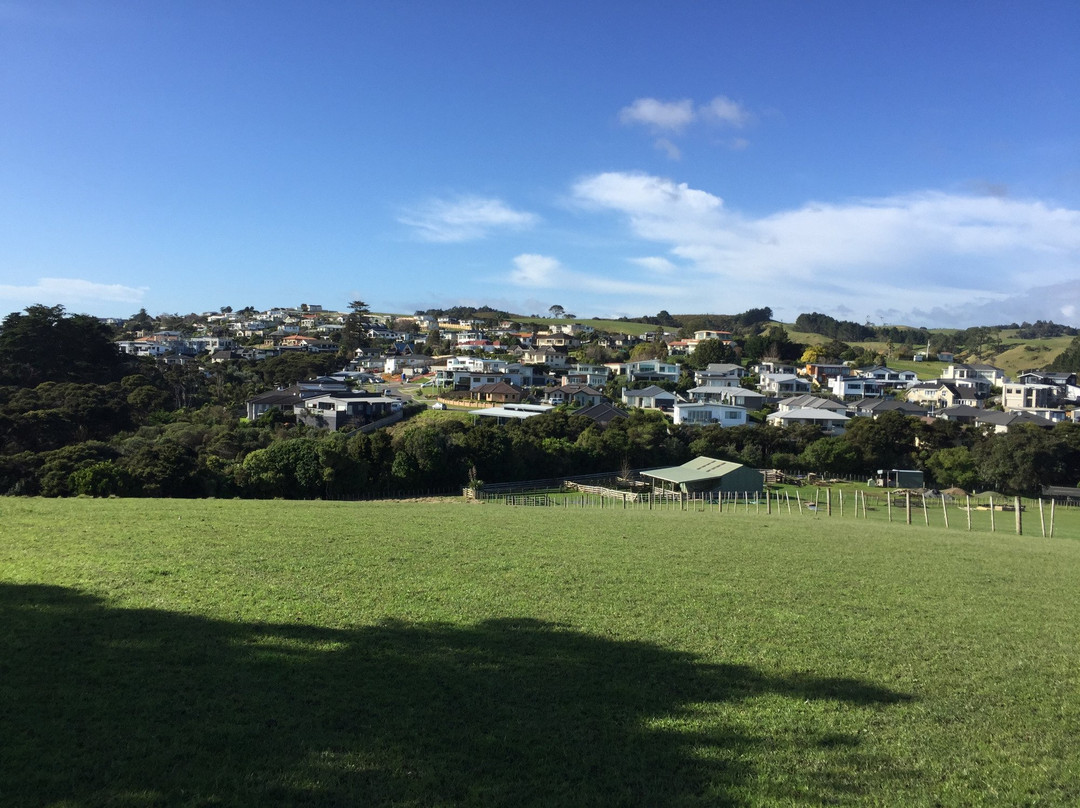 Maraetai Bay旅游攻略图片