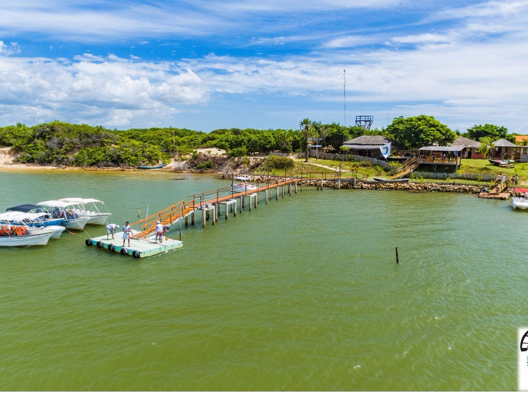 Ilha das Canarias旅游攻略图片