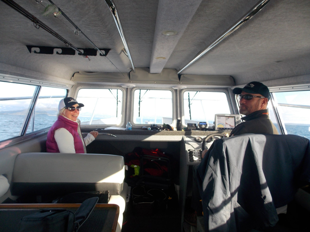 Avid Sportfishing-Sandspit必去景点