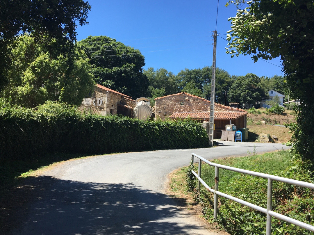 Albergue Casa Domingo