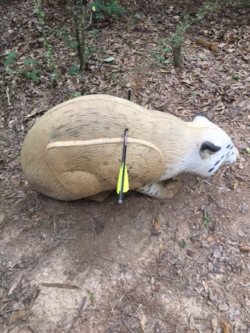 Charlie Elliott Wildlife Center-Mansfield必去景点