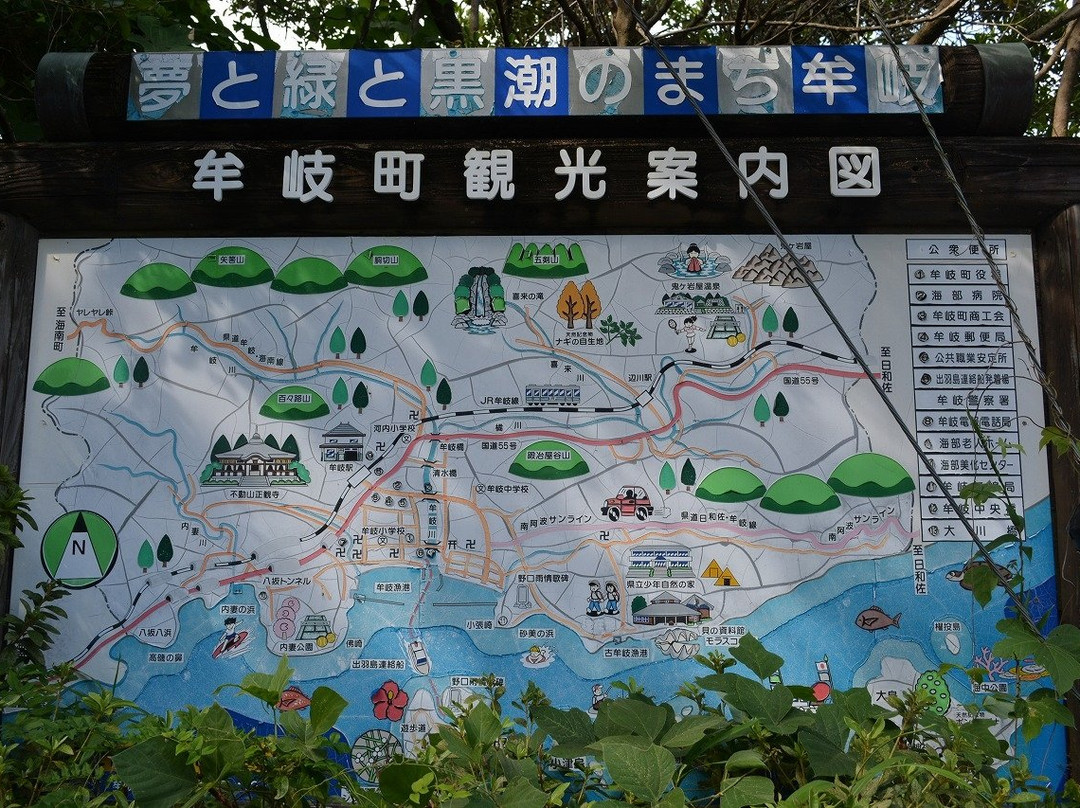 Mollusco Mugi-牟岐町必去景点