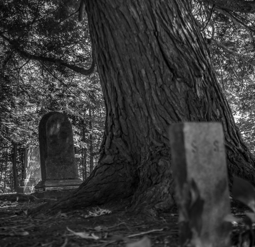 Castle Ghost Tours-Loudonville必去景点