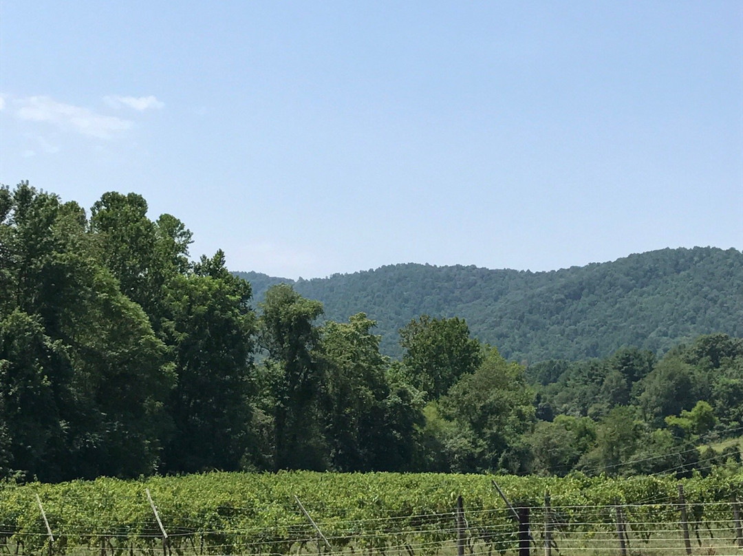Mountain Cove Vineyards-Lovingston必去景点