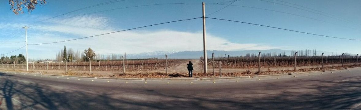 Maipu旅游攻略图片