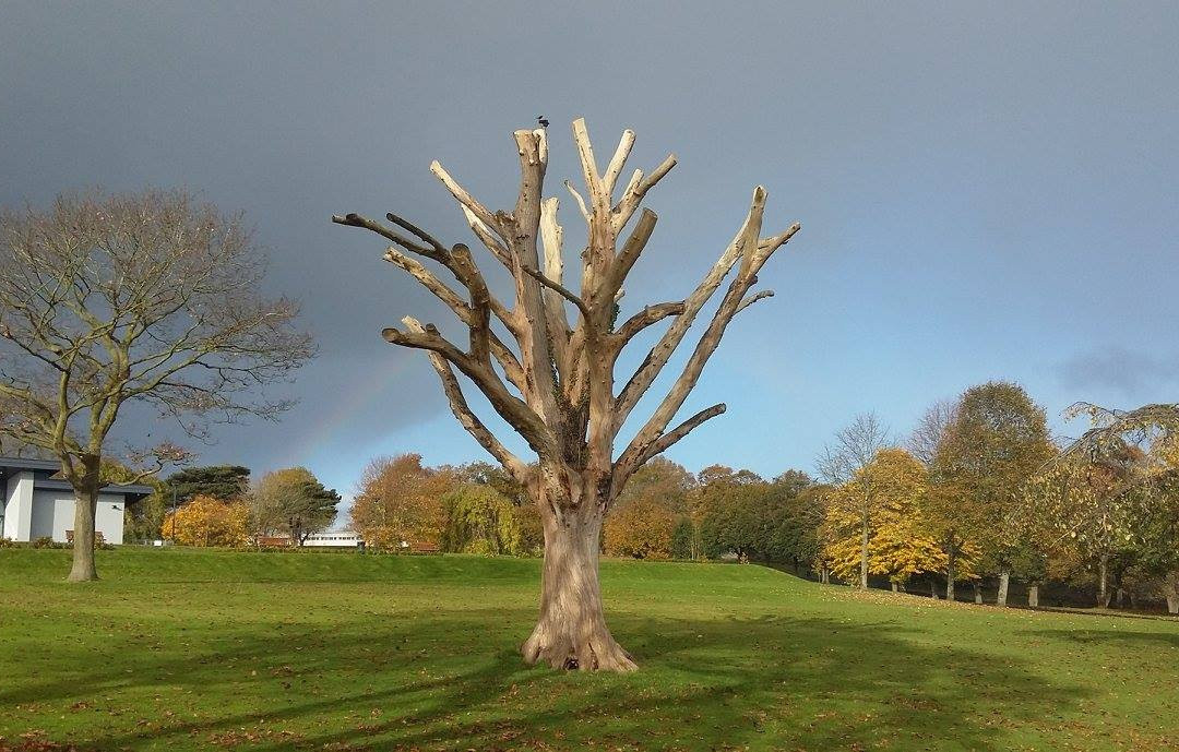Brooke Park-德里必去景点