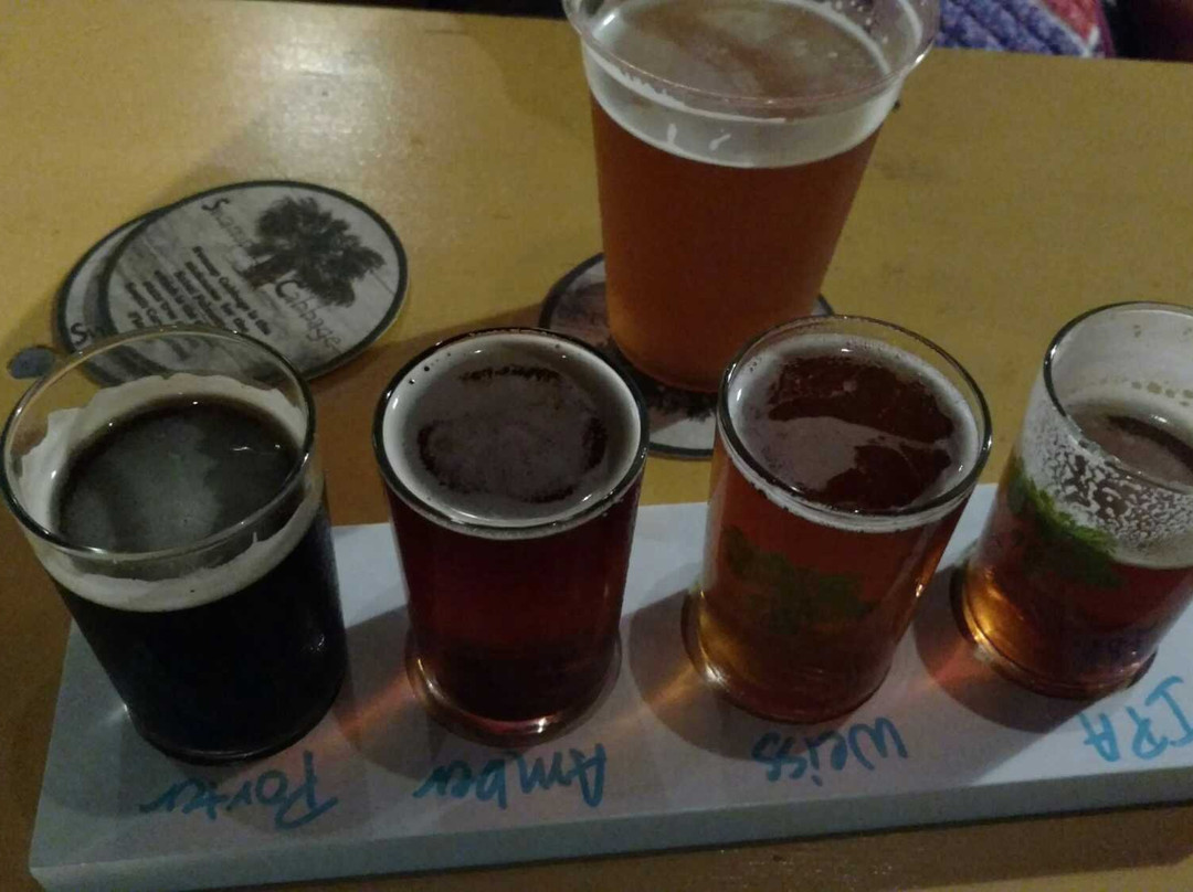 Swamp Cabbage-哥伦比亚必去景点