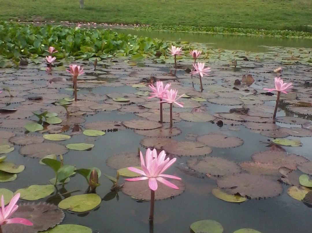 El Derrumbado-Buga必去景点