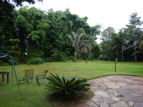 Thorn Tree Guest House主图