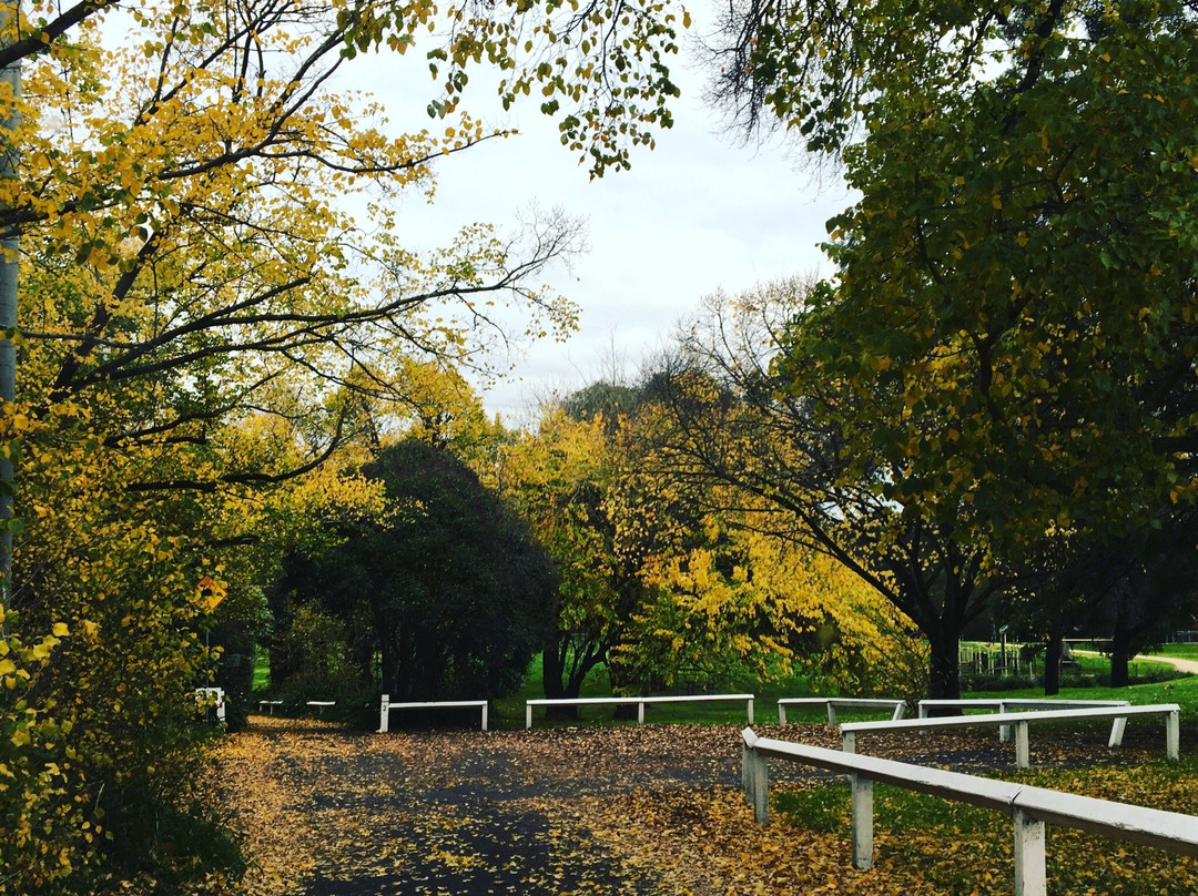 Sparks Reserve景点图片