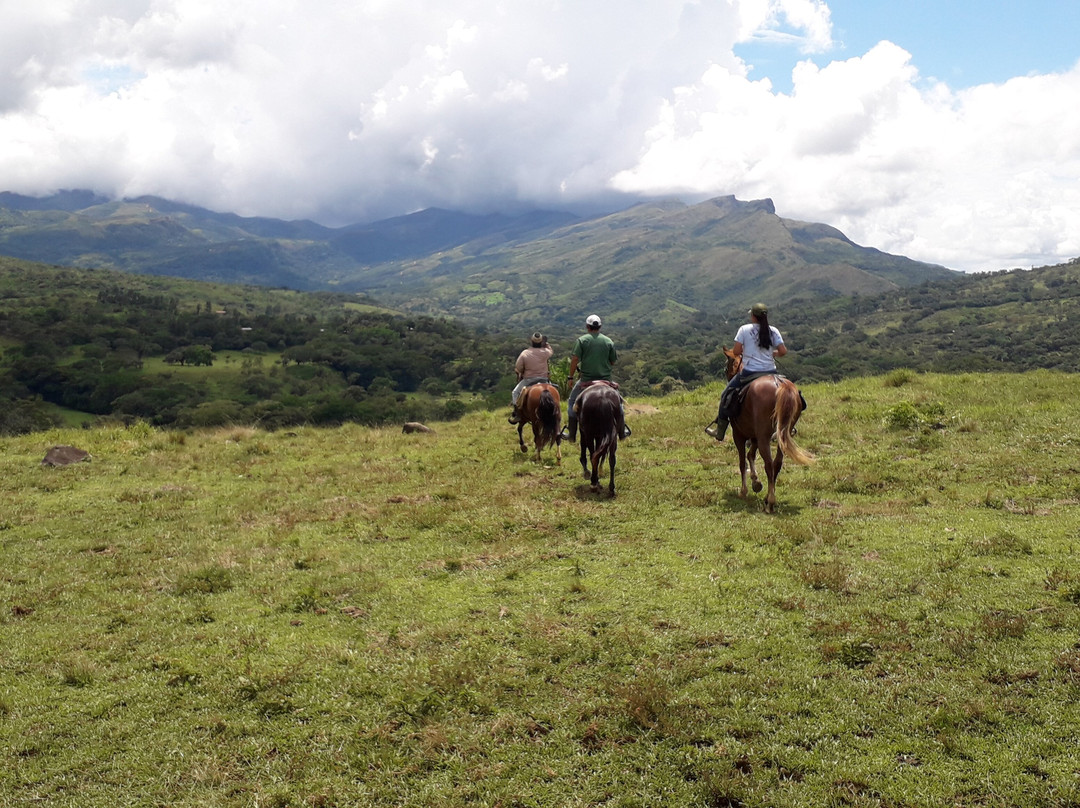 Horseback Panama Adventure Tours景点图片