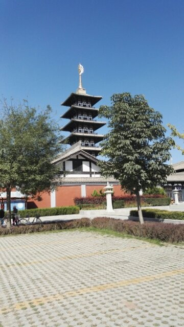 泾川大云寺博物馆景点图片