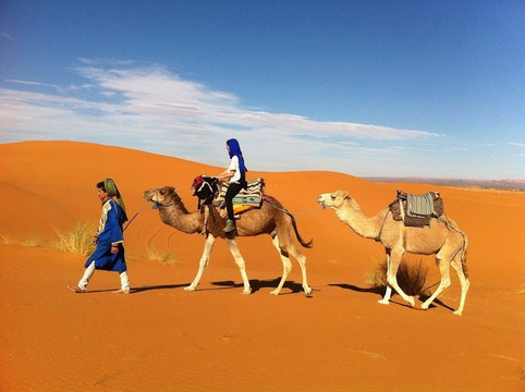 Morocco Everywhere Travel-马拉喀什必去景点