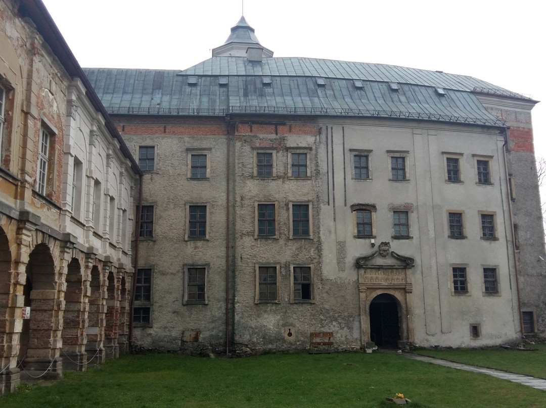 Zamek Międzylesie景点图片