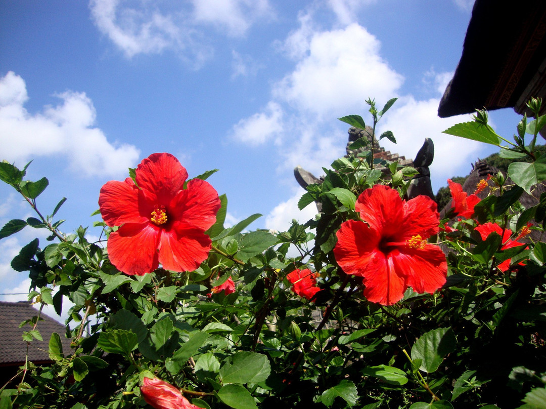 Pura Bukit Dharma Durga Kutri-吉安雅必去景点