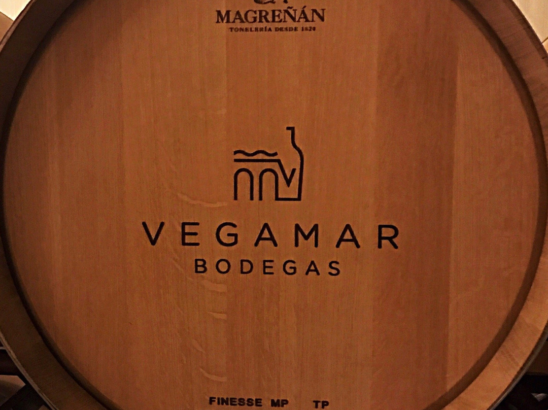 Vegamar Bodegas景点图片