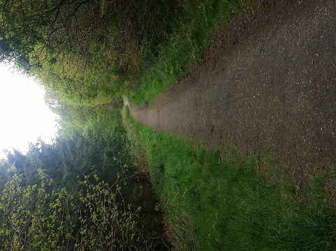 Chopwell旅游攻略图片