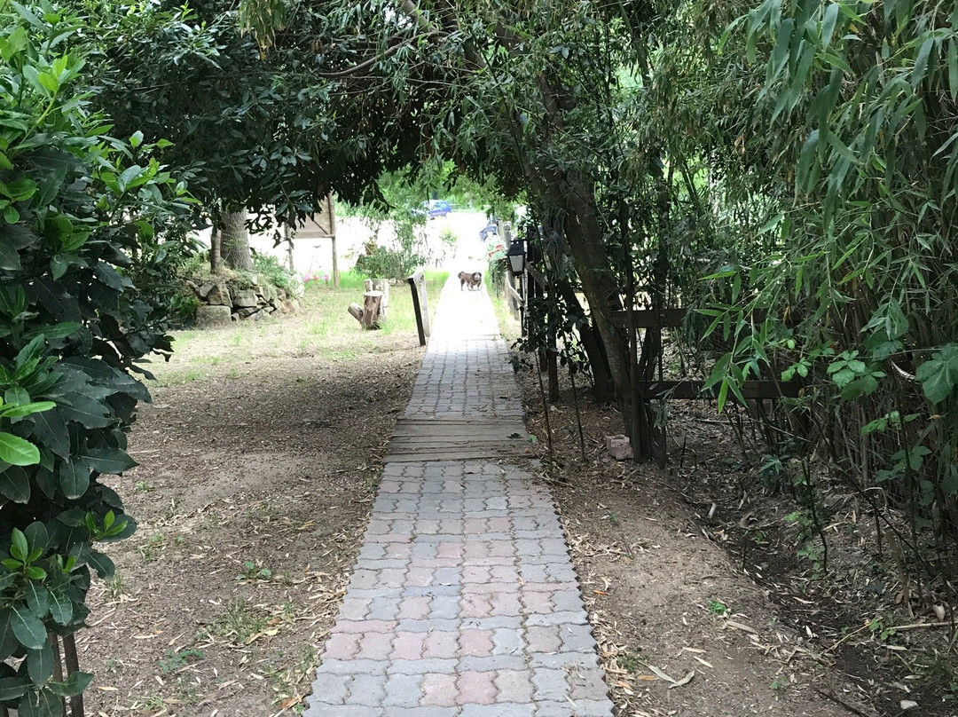 Natura e Cavallo-Tolfa必去景点