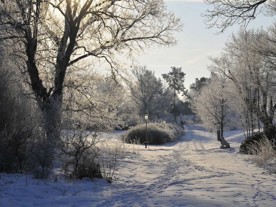 Carlsbad Oceanside Art League Gallery-卡尔斯巴德必去景点