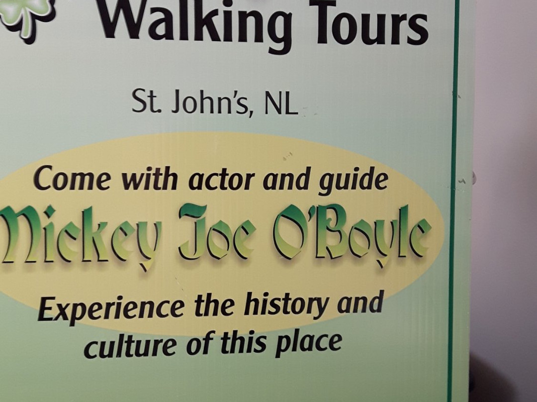 Boyle Tours-圣约翰必去景点