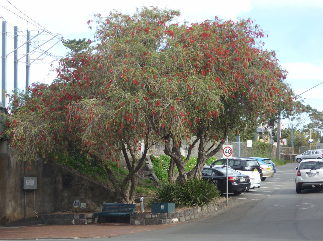 Kiama Municipal Council-凯马必去景点
