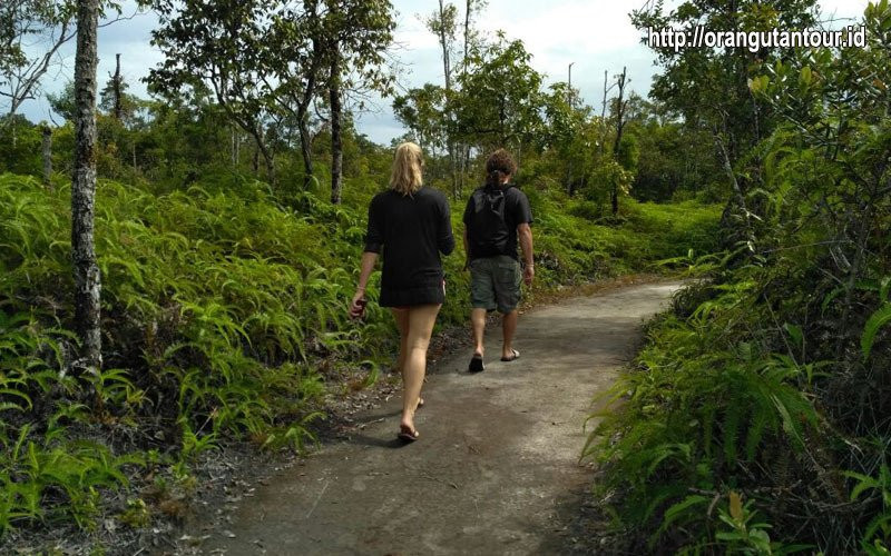 Orangutantour-Kumai必去景点