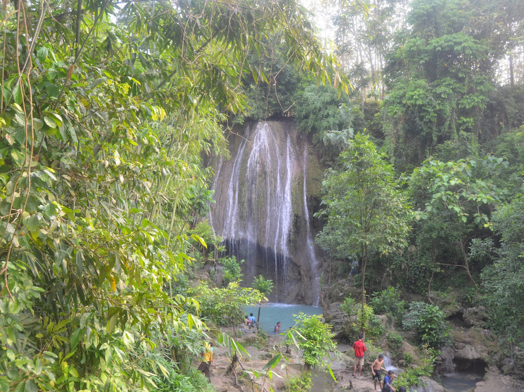 Alas Kandung Waterfall景点图片