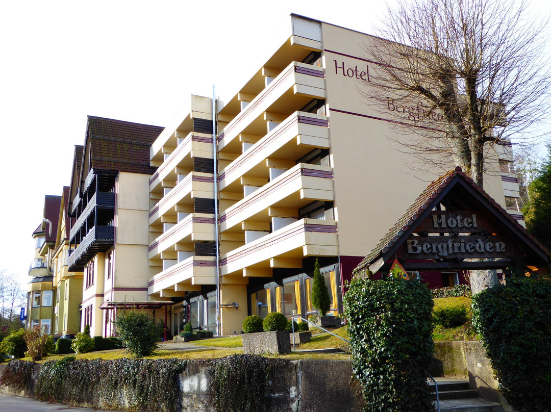 Hotel Bergfrieden主图