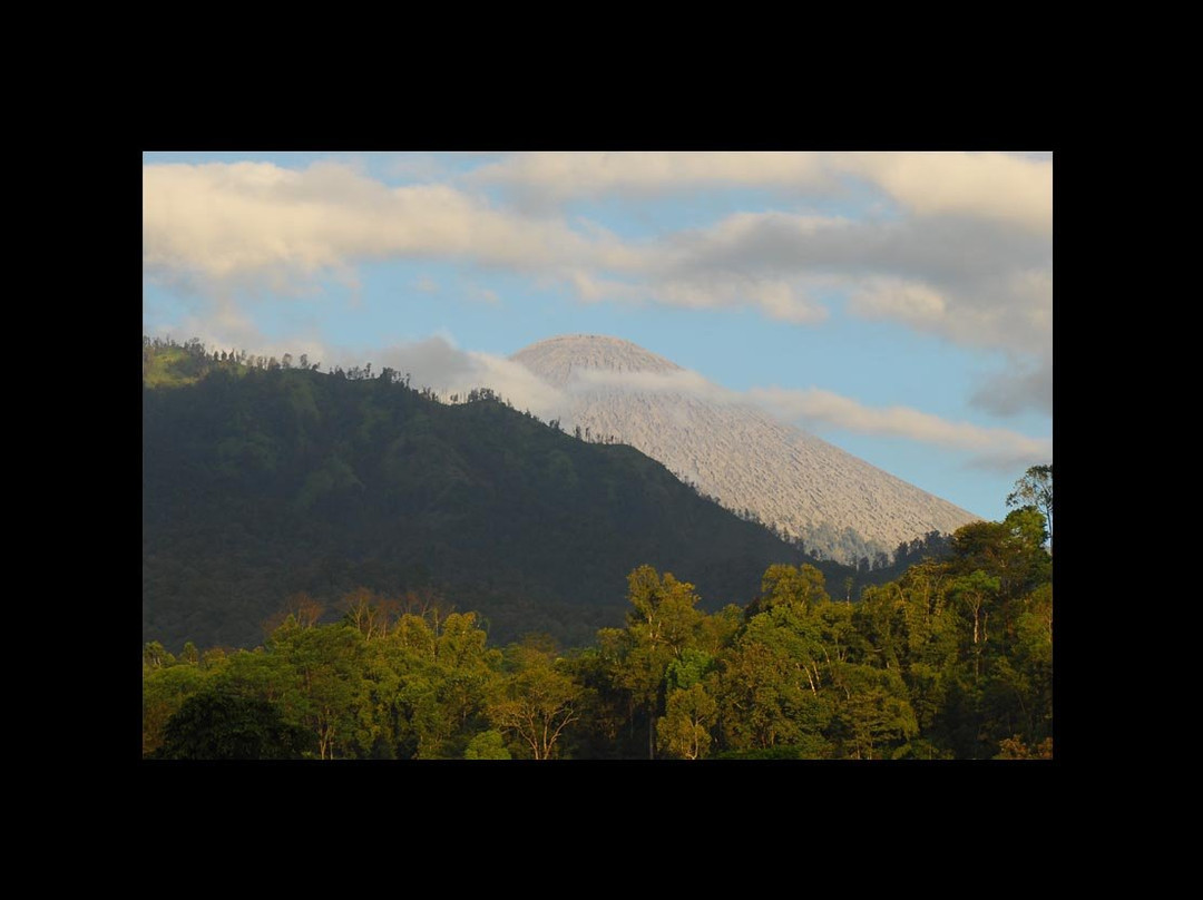 Sedaer River Tubing-玛琅必去景点
