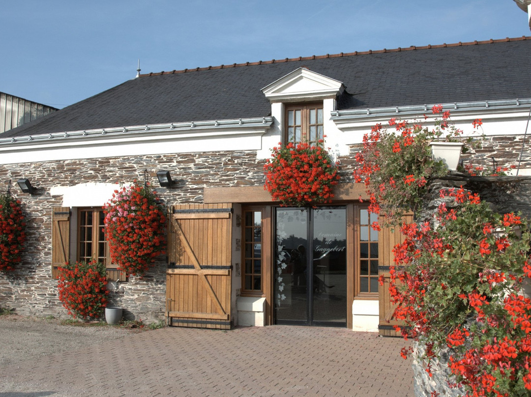 Domaine de Gagnebert景点图片