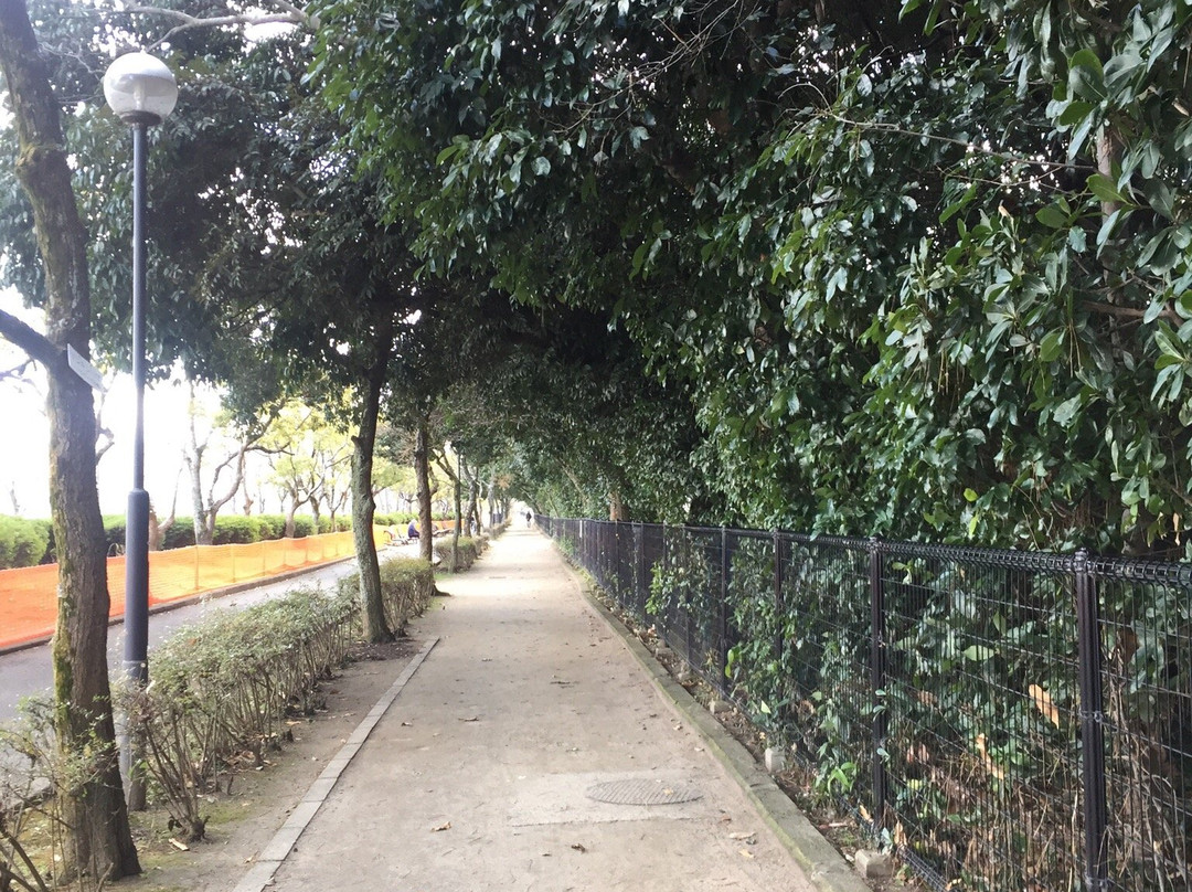 Koyaike Park-伊丹市必去景点