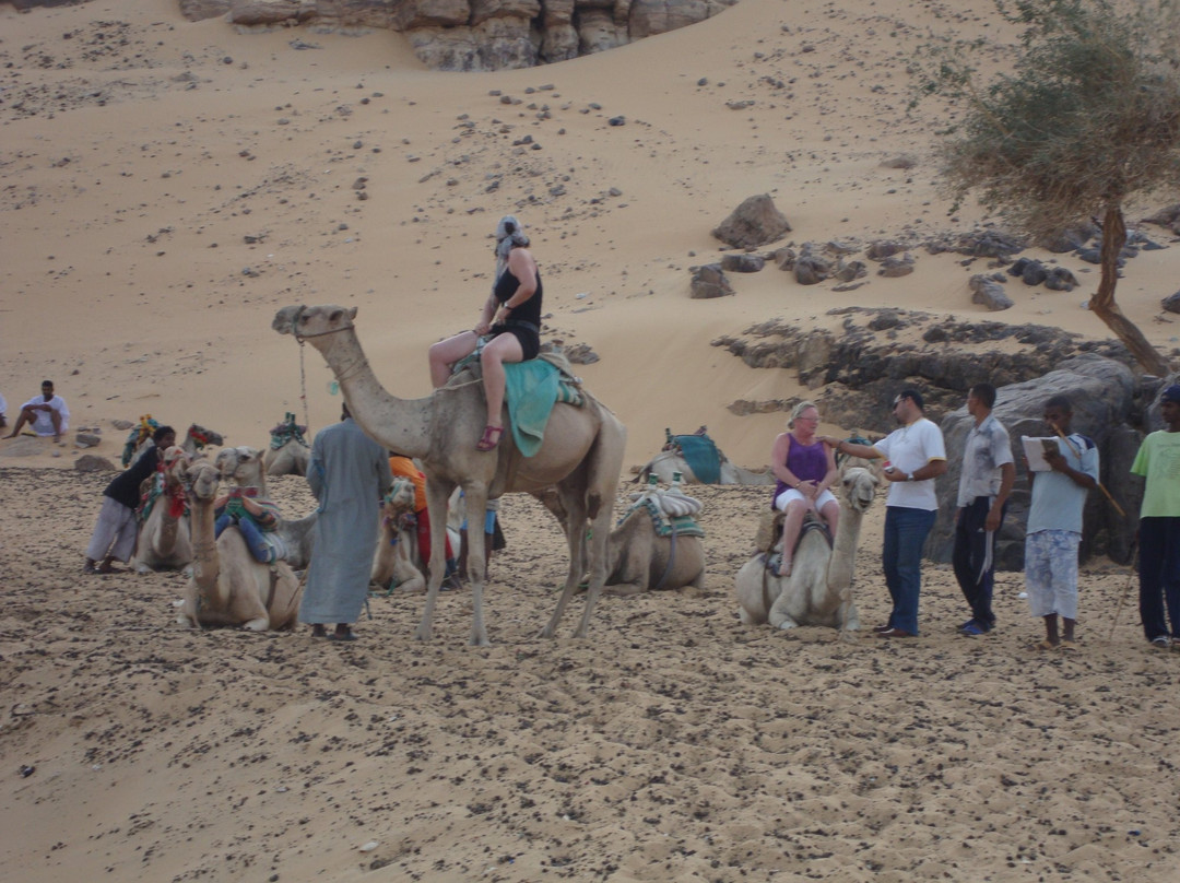 Nile Holiday- Day Tours-亚斯文必去景点