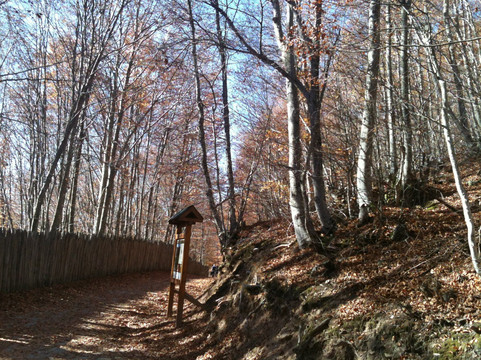 Agrapidies旅游攻略图片