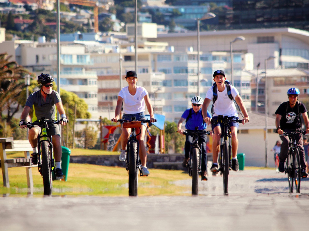 Venture South-开普敦必去景点