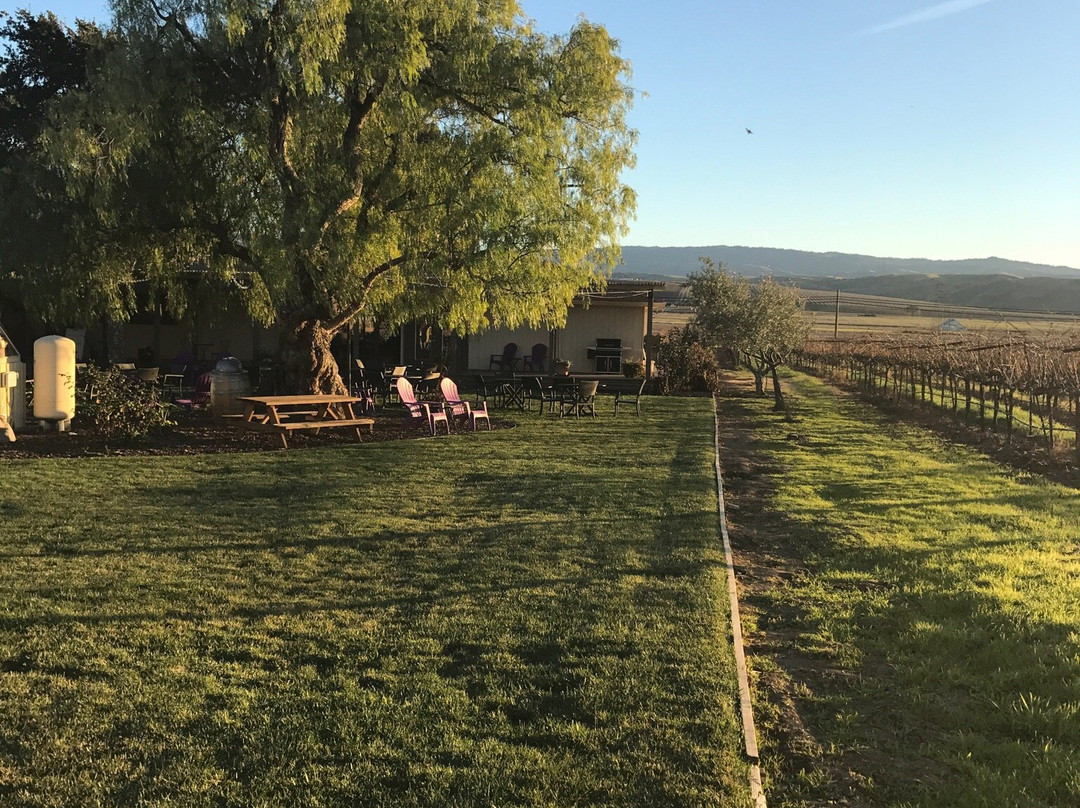 Darcie Kent Vineyards-利佛摩必去景点