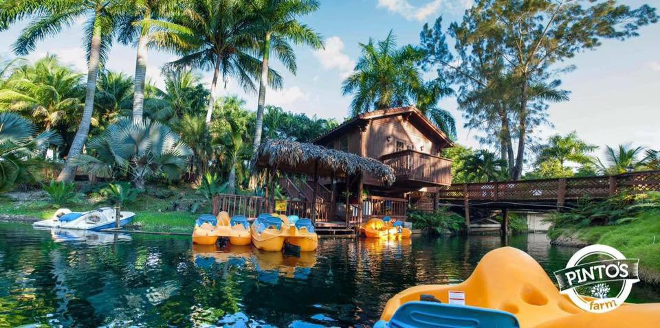 Pinto's Farm-迈阿密必去景点