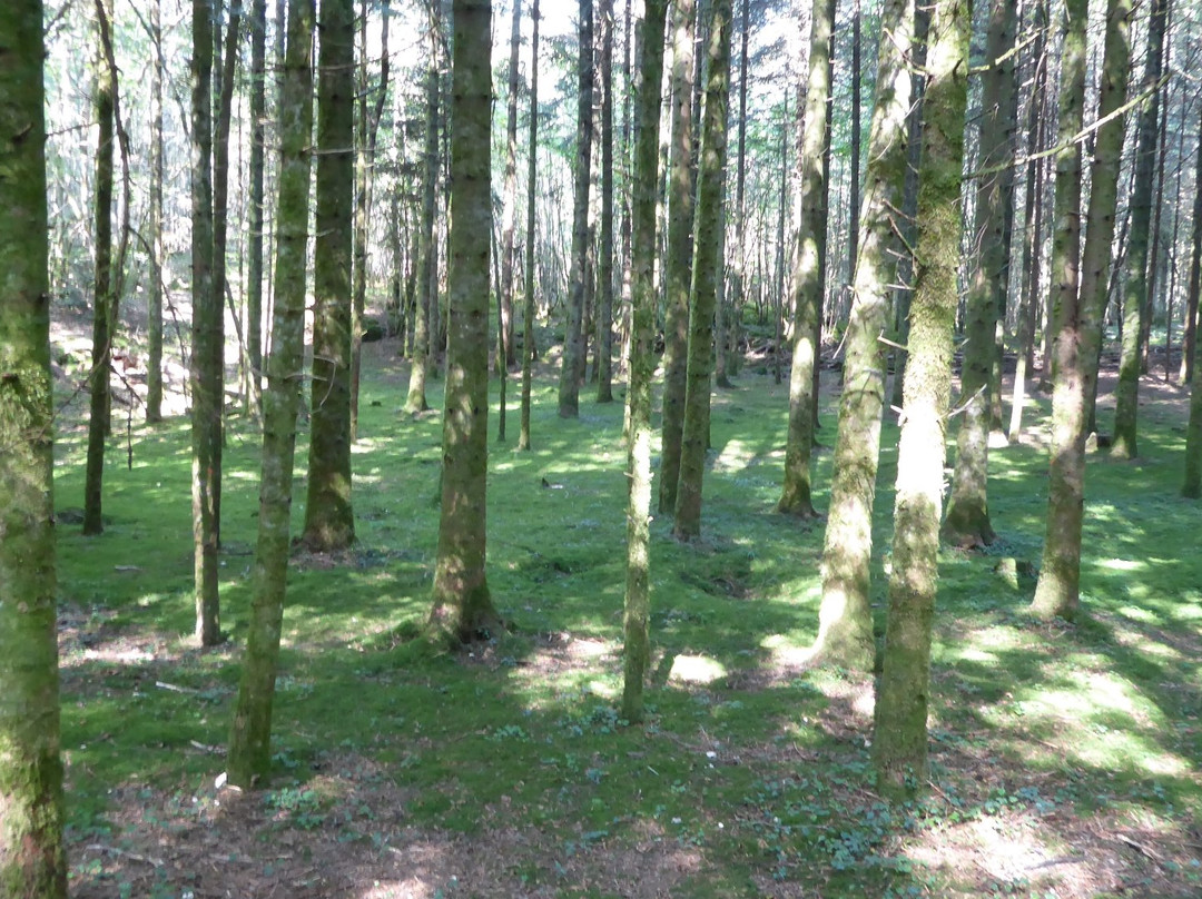 Sentier karstique du Grand Bois-Merey-sous-Montrond必去景点
