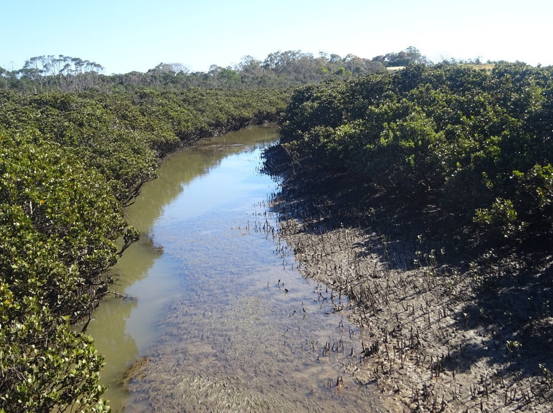 莱尔旅游攻略图片