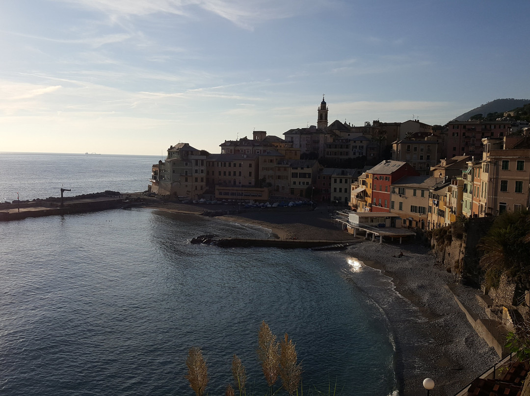 Bogliasco旅游攻略图片