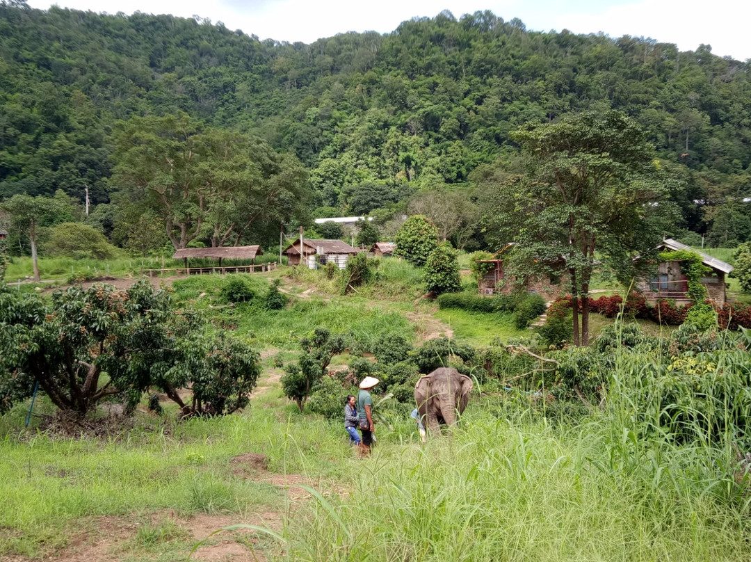 Baan Tung Lakorn Elephant Camp-夜登必去景点