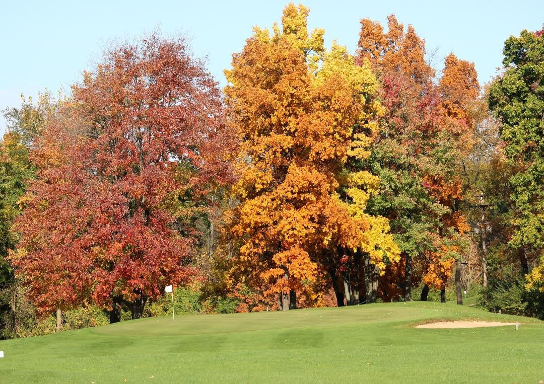 Meridian Sun Golf Course景点图片
