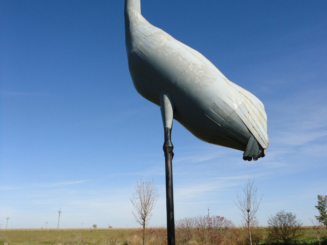 World's Largest Sandhill Crane景点图片