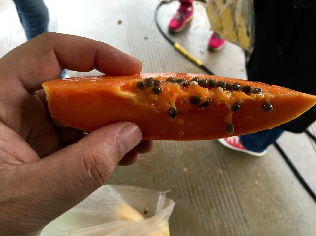 玉皇阁（阳原）-原阳县必去景点