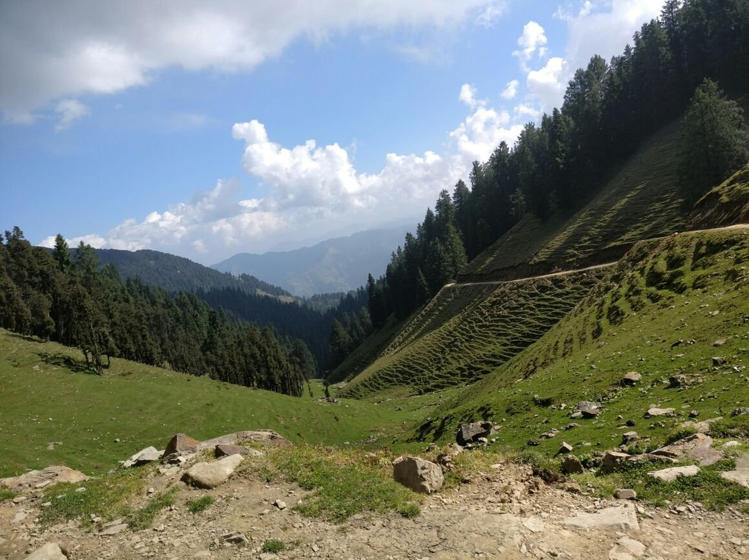 Green Meadows Homestay