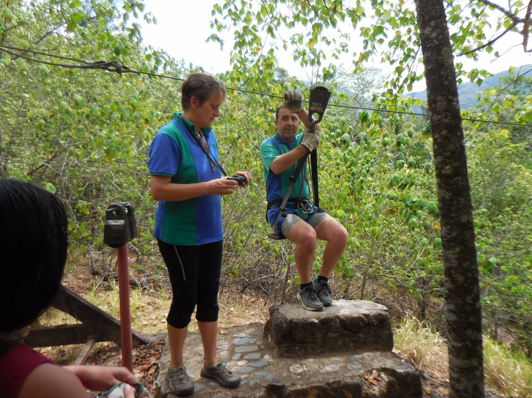 Forest Flying-Finch Hatton必去景点