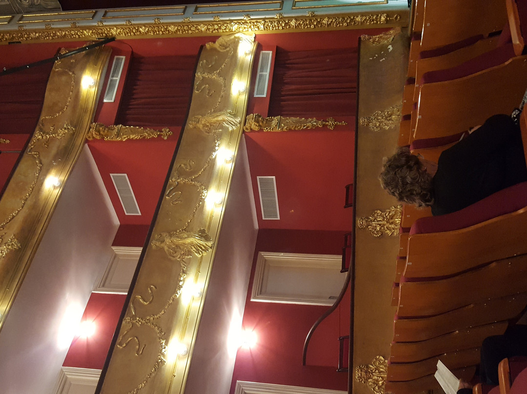 Teatro Miguel Young-弗赖本托斯必去景点