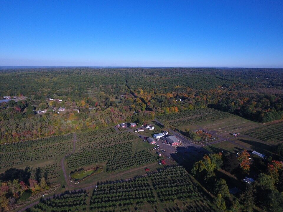 Blue Jay Orchards-Bethel必去景点